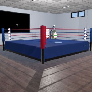 Boxing 1